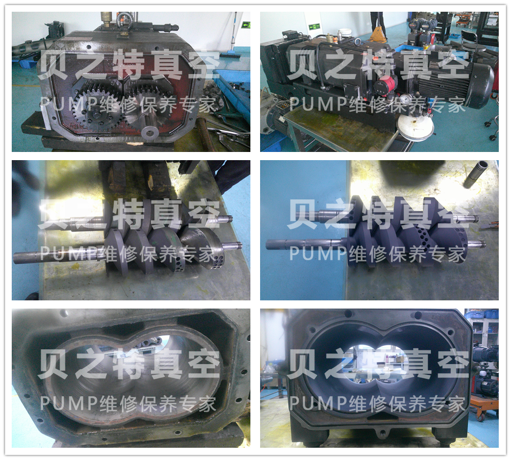 Rietschle里其樂干泵維修VSI300