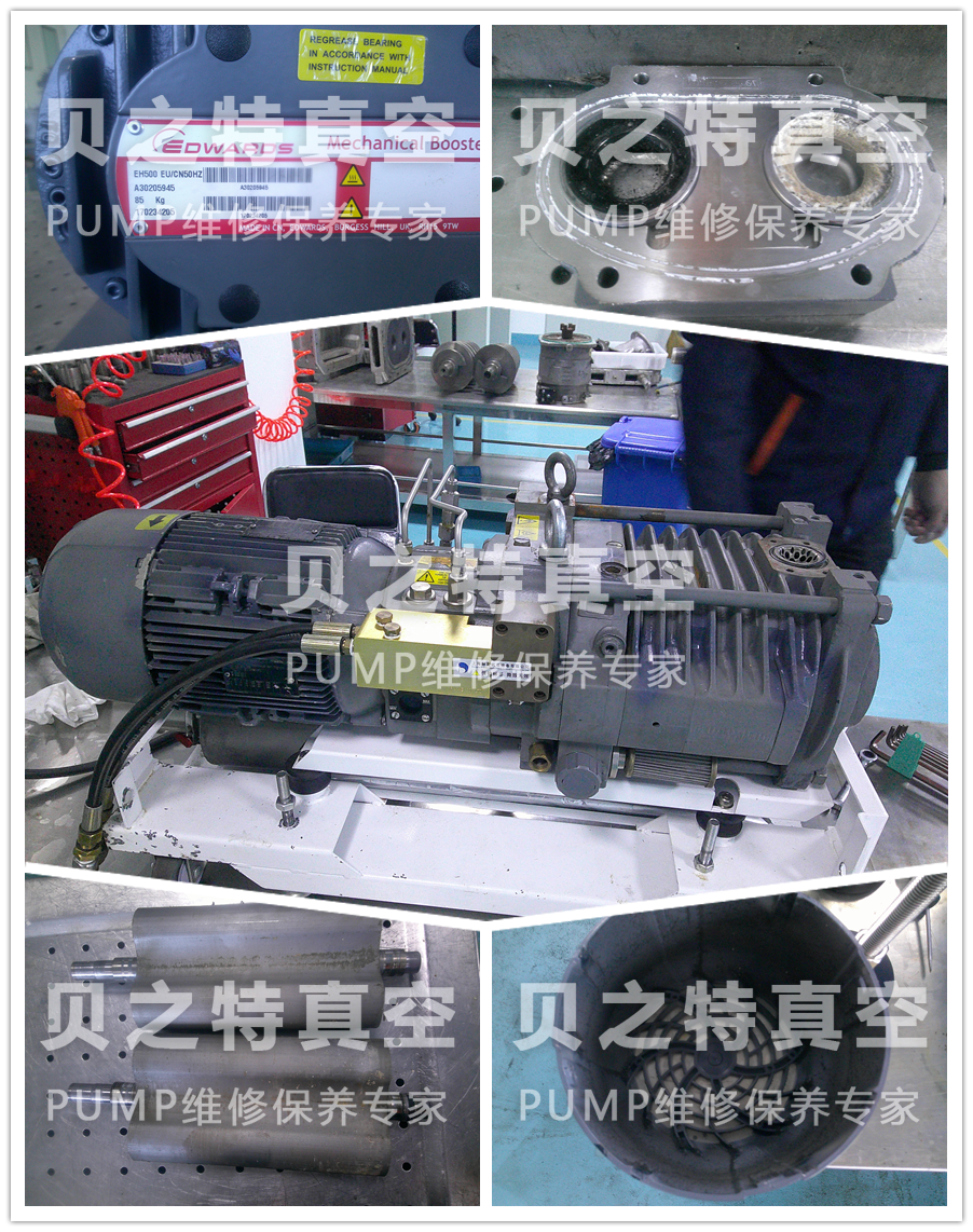 愛德華羅茨泵eh500維修保養(yǎng)