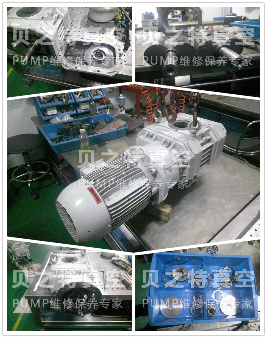 WP0500普旭真空泵維修保養(yǎng)圖