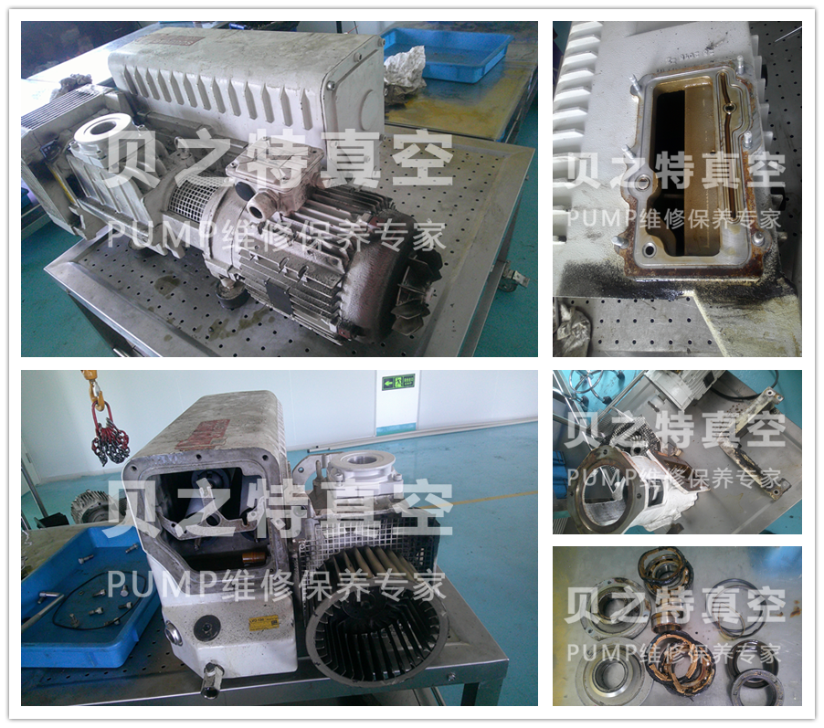 浙江萊寶真空泵sv300b維修保養