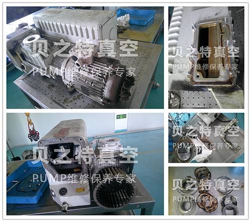 真空泵維修 萊寶SV300B-7-發布.png