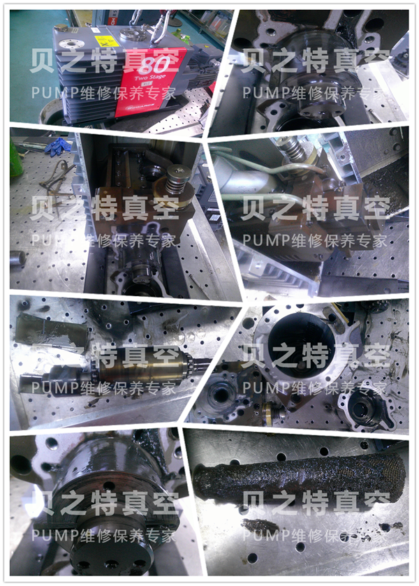 愛德華油泵E2M80拆解維修 愛德華e2m80-.png