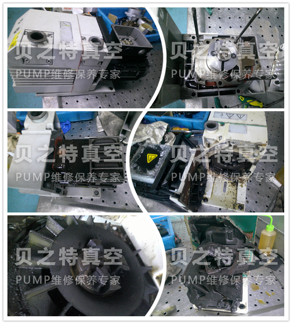 萊寶油泵D16B拆解維修 萊寶d16b-1發布.png