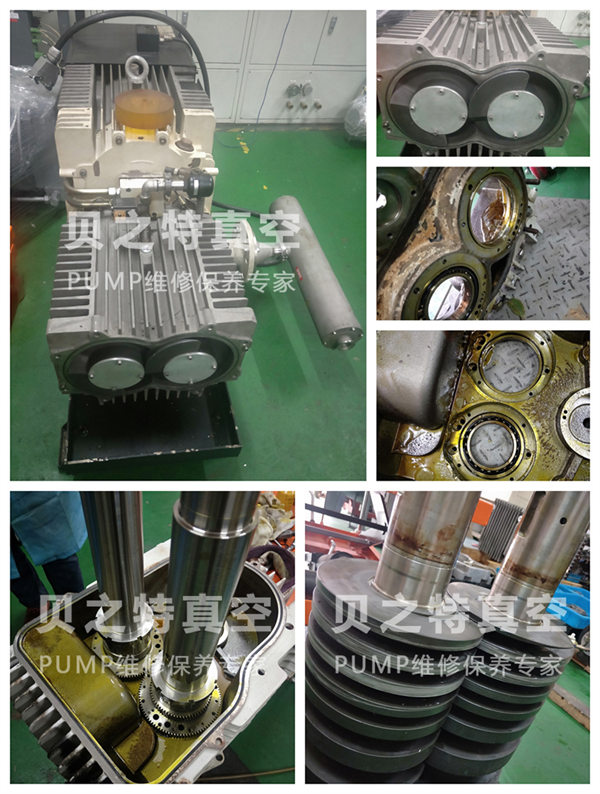 萊寶油泵SP630拆解維修 萊寶SP630-新案例-水印ok.jpg