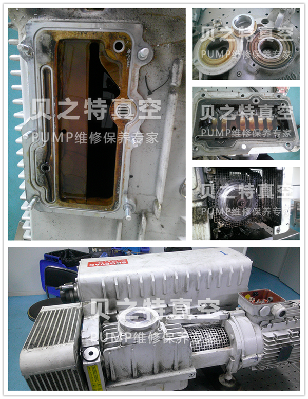 萊寶油泵SV300B拆解維修 萊寶SV300B--.png