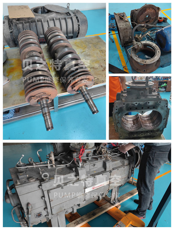 IDX1300螺桿泵拆解維修 愛德華IDX1300-案例-水印.jpg