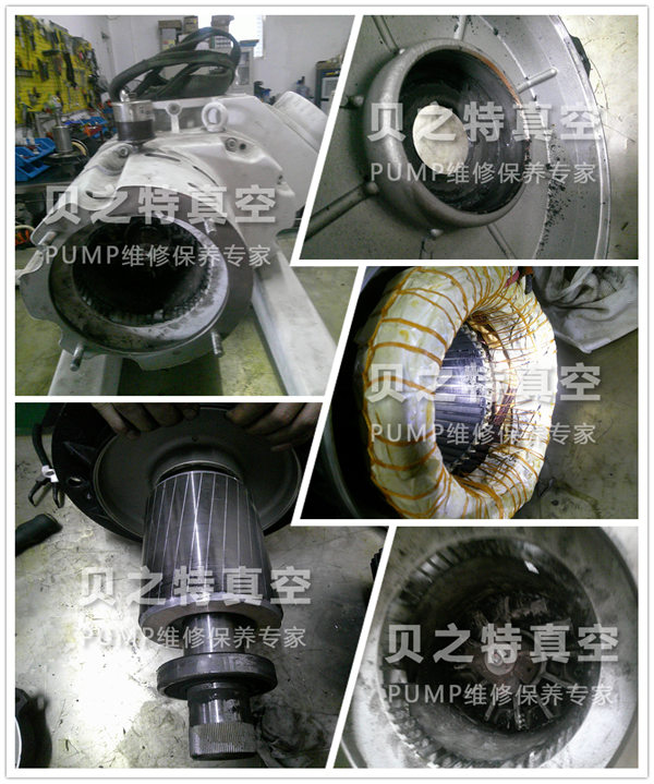 萊寶WAU2001羅茨真空泵維修 萊寶WAU2001.jpg