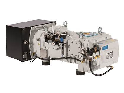 萊寶干式真空泵DRYVAC DV650