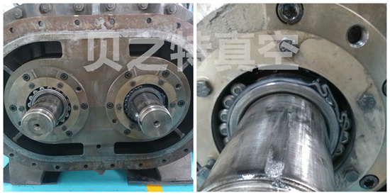 ER36000伊萊茨羅茨泵軸承損壞 未命名3.jpg