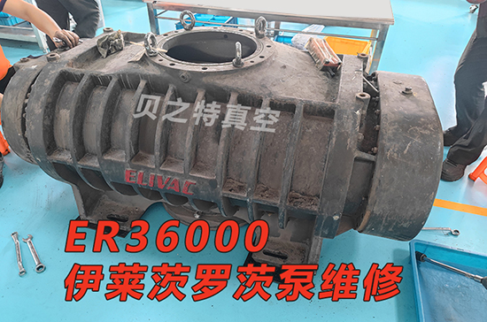 ER36000伊萊茨羅茨泵維修 IMG_20250621_091955.jpg